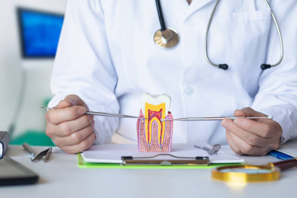 Best Emergency Treatment for Dental Infections or Abscesses in Marion, AL
